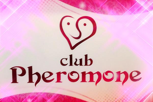 club PHEROMONE(フェロモン)の紹介1