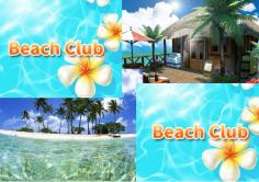 Beach Club(ビーチクラブ)の紹介