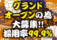 くのいち(クノイチ)の紹介・サムネイル2