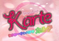 Karte(カルテ)の紹介