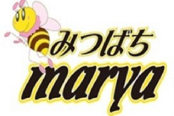 みつばちマーヤの紹介0