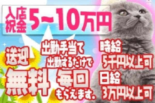 赤塚　雅(ミヤビ)の紹介1