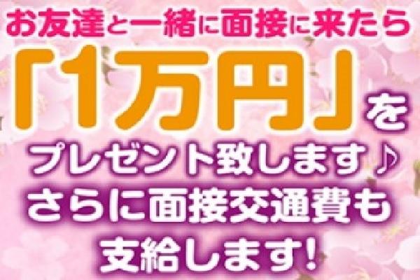 朝昼　おいらん-さくら茶屋-の紹介2