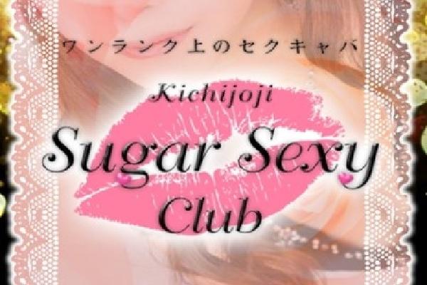 Sugar(シュガー)の紹介0