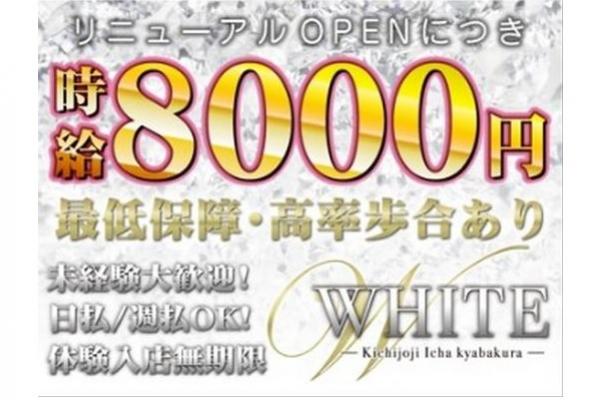 WHITE(ホワイト)の紹介1