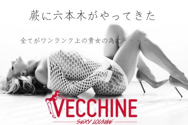 VECCHINE(ベッチン)の紹介1