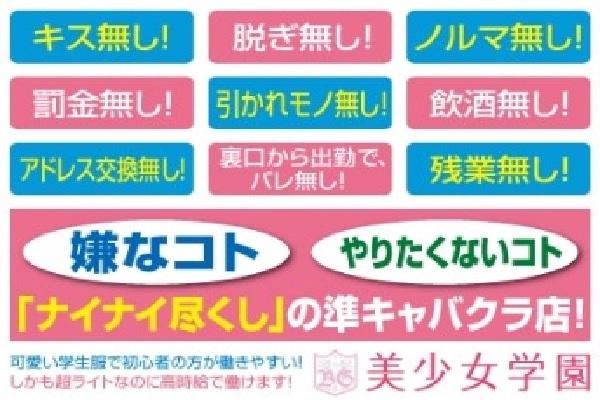 美少女学園(ビショウジョガクエン)の紹介1