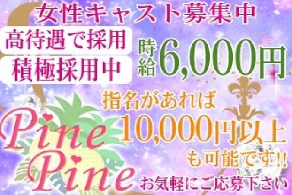 PINE PINE(パインパイン)の紹介1