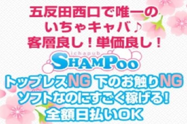 SHAMPOO(シャンプー)の紹介6