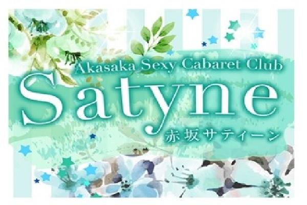 Satyne(サティーン)の紹介0