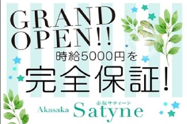 Satyne(サティーン)の紹介1