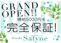 Satyne(サティーン)の紹介・サムネイル1