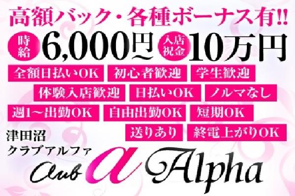 Alpha(アルファ)の紹介1