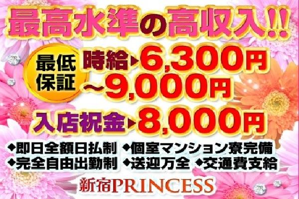 PRINCESS(プリンセス)の紹介0