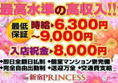 PRINCESS(プリンセス)の紹介・サムネイル0