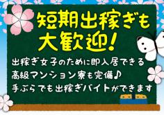 学園祭(ガクエンサイ)の紹介・サムネイル5