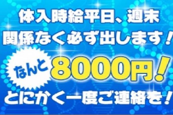 アクアドールズの紹介2