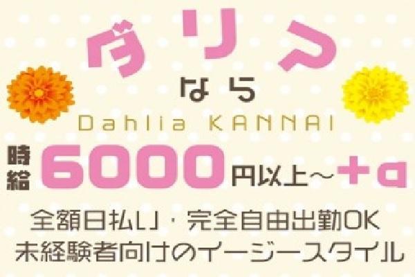 club Dahlia(クラブダリア)の紹介0