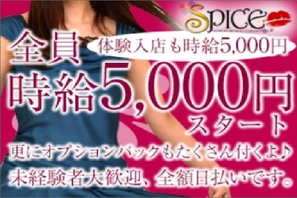 SPICE(スパイス)の紹介2