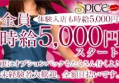 SPICE(スパイス)の紹介・サムネイル2