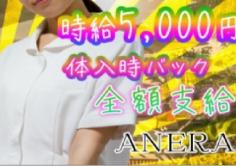 Anela(アネラ)の紹介