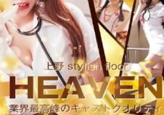 Stylish Floor HEAVEN(スタイリッシュフロアヘブン)の紹介