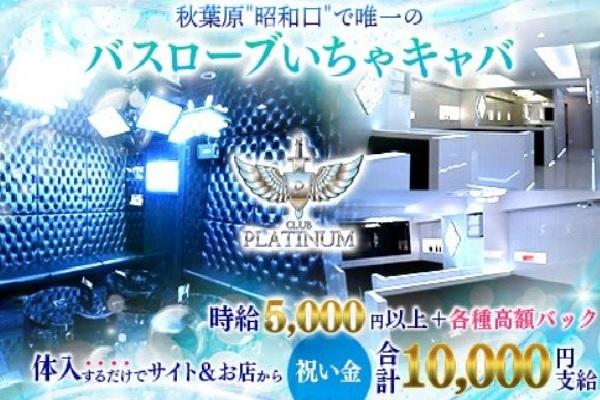 platinum(プラチナム)の紹介0