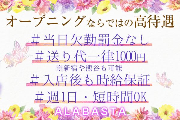 ALABASTA(アラバスタ)の紹介1