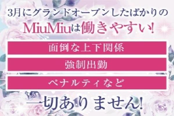 MiuMiu(ミュウミュウ)の紹介2