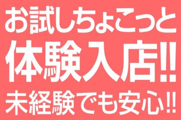 ぼくの家(ぼくのいえ)の紹介4