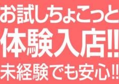 ぼくの家(ぼくのいえ)の紹介・サムネイル4