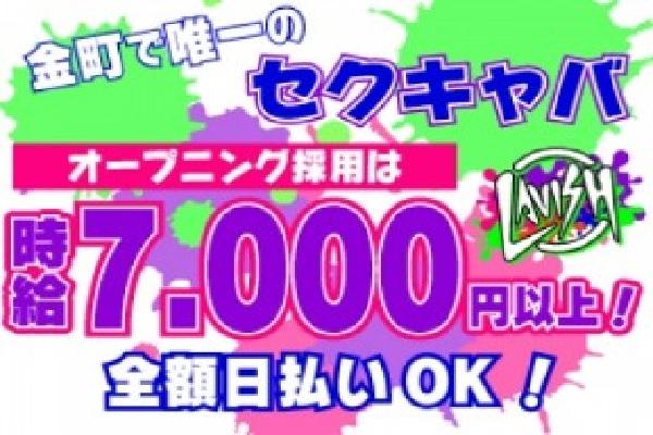 LAVISH(ラヴィッシュ)の紹介1