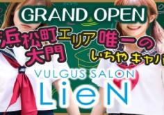 VULGUS　SALON　LieN(リアン)の紹介