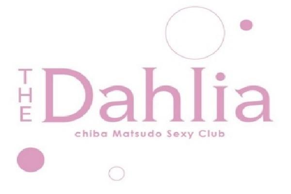 The Dahlia(ザ ダリア)の紹介0