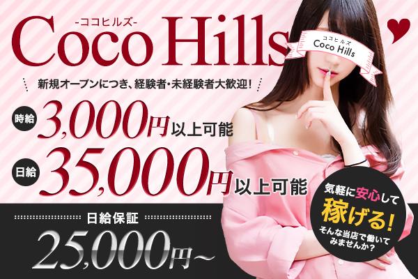 Coco Hills(ココヒルズ)の紹介0