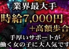 渋谷フラミンゴ(シブヤフラミンゴ)の紹介・サムネイル1