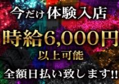 渋谷フラミンゴ(シブヤフラミンゴ)の紹介・サムネイル2