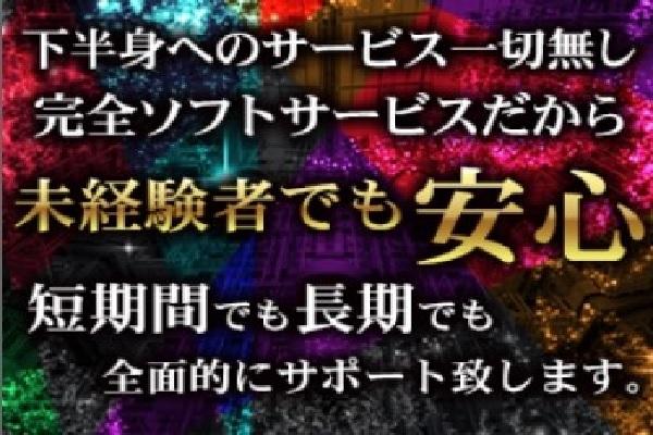 渋谷フラミンゴ(シブヤフラミンゴ)の紹介3