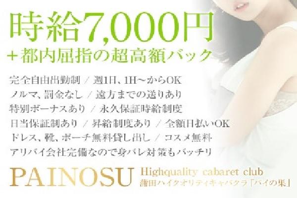 パイの巣(パイノス)の紹介4