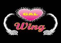 GAL Wing(ギャルウイング)の紹介