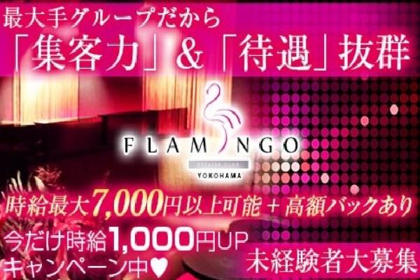 横浜FLAMINGO(ヨコハマフラミンゴ)の紹介0