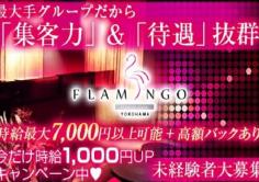 横浜FLAMINGO(ヨコハマフラミンゴ)の紹介