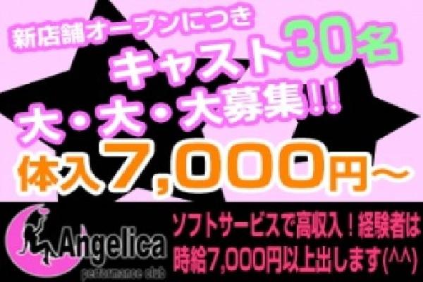 Angelica(アンジェリカ)の紹介0