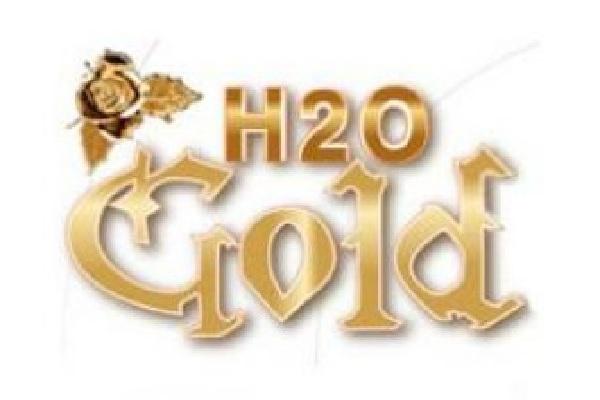 H2O GOLD(ゴールド)の紹介0