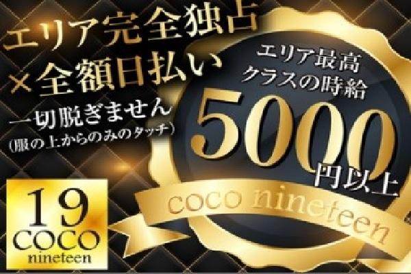 COCO19(ココナインティーン)の紹介0