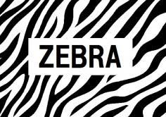 ZEBRA(ゼブラ)の紹介