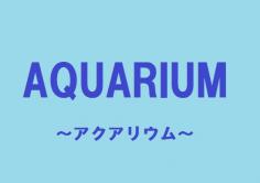 AQUARIUM(アクアリウム)の紹介