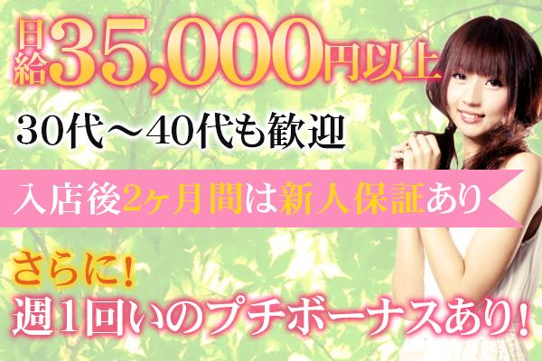 ドレミの紹介0