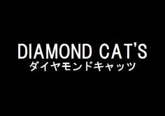 DIAMOND CAT'S(ダイヤモンドキャッツ)の紹介