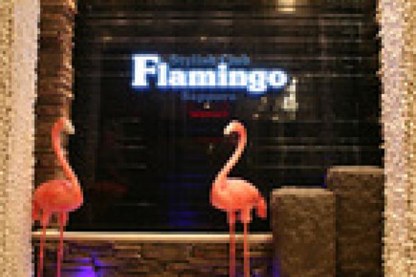 FLAMINGO(フラミンゴ)の紹介0